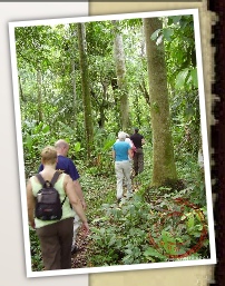 safarie expeditie spel