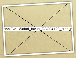 safarie expeditie spel
