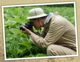 safarie expeditie spel