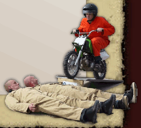 jackass