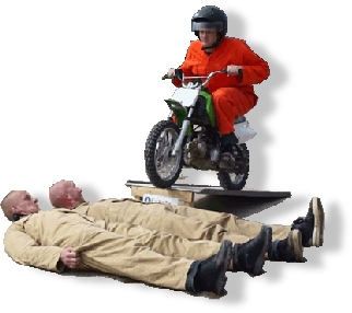 jackass