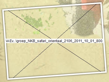 safarie expeditie spel